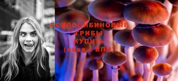2c-b Белоозёрский