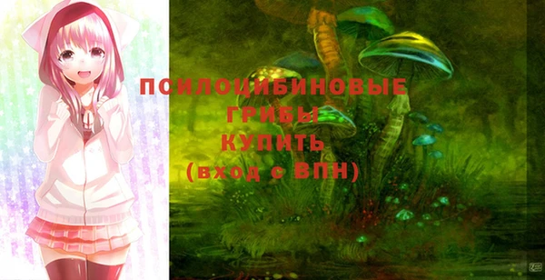 мдма Белокуриха