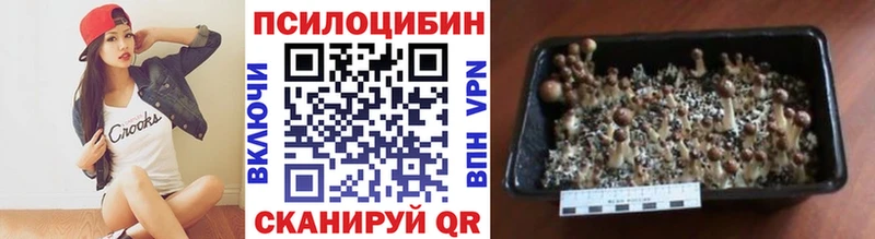 Псилоцибиновые грибы мухоморы  Губкинский 